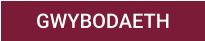 GWYBODAETH