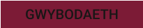 GWYBODAETH