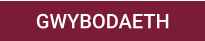 GWYBODAETH