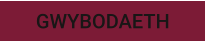 GWYBODAETH