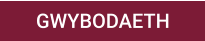 GWYBODAETH