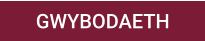 GWYBODAETH