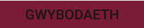 GWYBODAETH